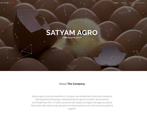 SATYAM AGRO