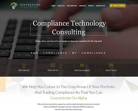 SENTRYHORN CONSULTING