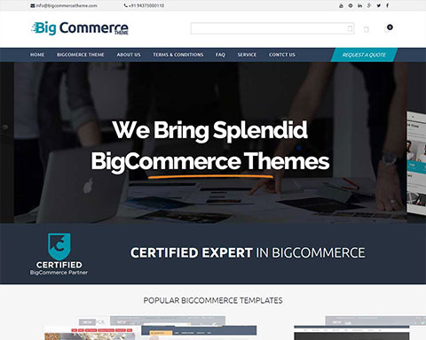 BIG COMMERCE THEME